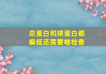 总蛋白和球蛋白都偏低还需要啥检查