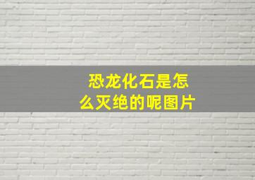 恐龙化石是怎么灭绝的呢图片