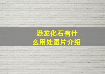 恐龙化石有什么用处图片介绍