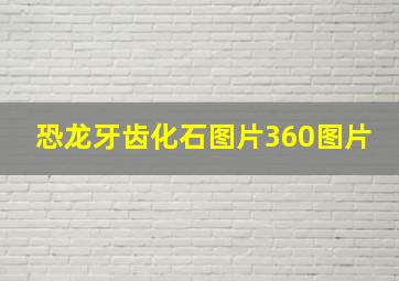 恐龙牙齿化石图片360图片