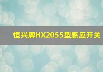 恒兴牌HX2055型感应开关