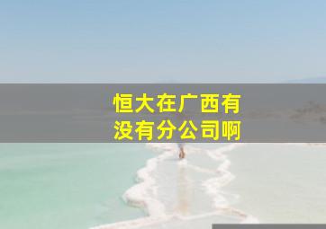 恒大在广西有没有分公司啊