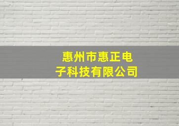 惠州市惠正电子科技有限公司