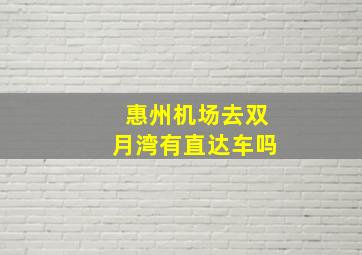 惠州机场去双月湾有直达车吗