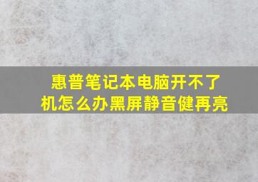 惠普笔记本电脑开不了机怎么办黑屏静音健再亮