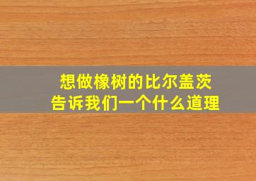 想做橡树的比尔盖茨告诉我们一个什么道理