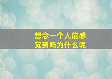 想念一个人能感觉到吗为什么呢