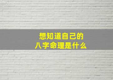 想知道自己的八字命理是什么