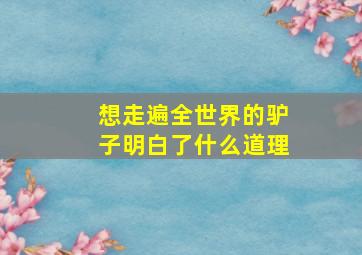 想走遍全世界的驴子明白了什么道理