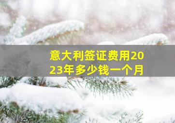 意大利签证费用2023年多少钱一个月