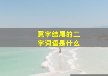 意字结尾的二字词语是什么