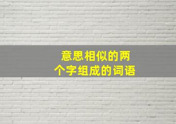 意思相似的两个字组成的词语