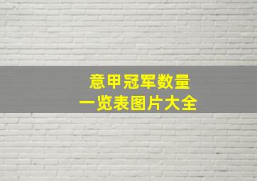 意甲冠军数量一览表图片大全