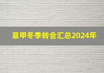 意甲冬季转会汇总2024年