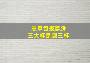 意甲包揽欧洲三大杯是哪三杯