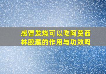 感冒发烧可以吃阿莫西林胶囊的作用与功效吗