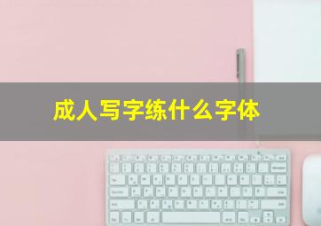 成人写字练什么字体