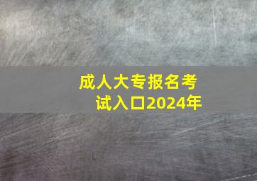 成人大专报名考试入口2024年