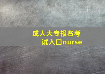 成人大专报名考试入口nurse