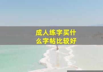 成人练字买什么字帖比较好