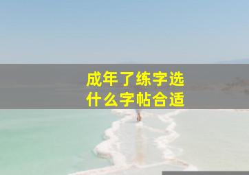 成年了练字选什么字帖合适