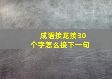 成语接龙接30个字怎么接下一句