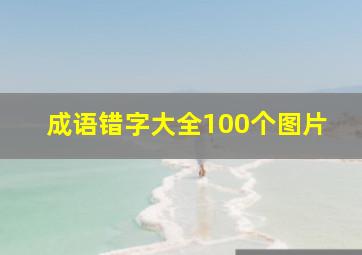 成语错字大全100个图片