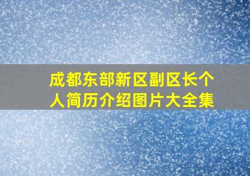 成都东部新区副区长个人简历介绍图片大全集