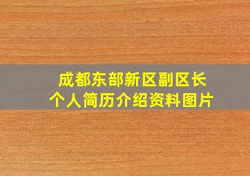 成都东部新区副区长个人简历介绍资料图片