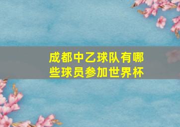 成都中乙球队有哪些球员参加世界杯