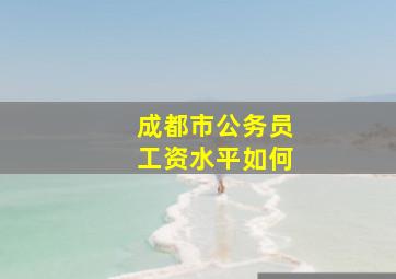 成都市公务员工资水平如何