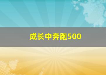 成长中奔跑500