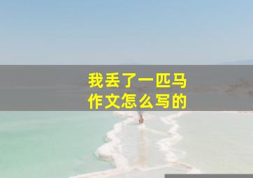 我丢了一匹马作文怎么写的