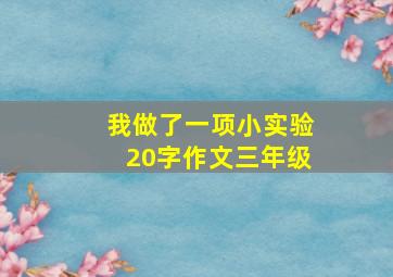 我做了一项小实验20字作文三年级