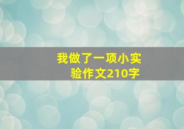 我做了一项小实验作文210字