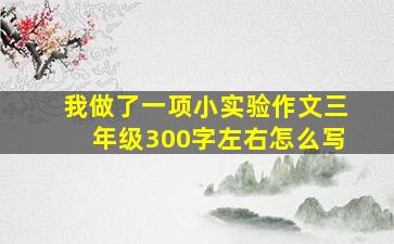 我做了一项小实验作文三年级300字左右怎么写