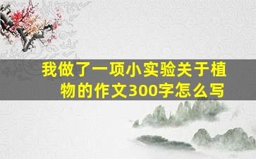 我做了一项小实验关于植物的作文300字怎么写