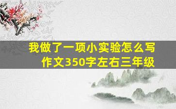 我做了一项小实验怎么写作文350字左右三年级