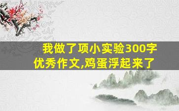 我做了项小实验300字优秀作文,鸡蛋浮起来了