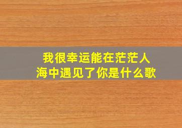 我很幸运能在茫茫人海中遇见了你是什么歌