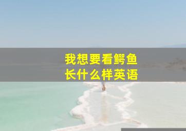 我想要看鳄鱼长什么样英语