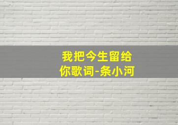 我把今生留给你歌词-条小河