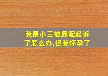 我是小三被原配起诉了怎么办,但我怀孕了