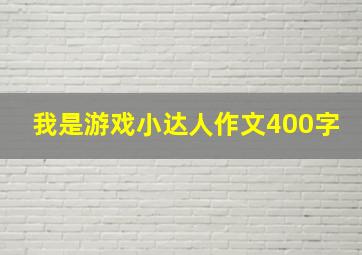 我是游戏小达人作文400字