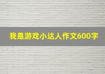 我是游戏小达人作文600字