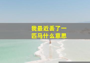 我最近丢了一匹马什么意思