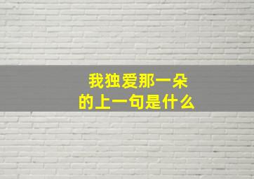 我独爱那一朵的上一句是什么