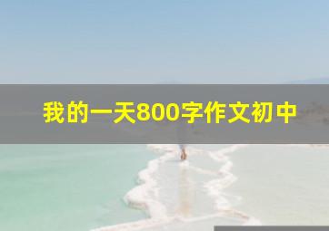 我的一天800字作文初中