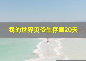 我的世界贝爷生存第20天