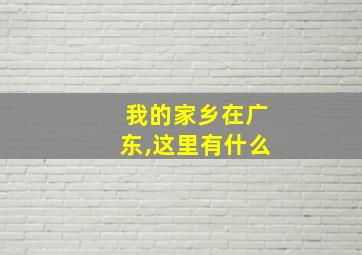 我的家乡在广东,这里有什么